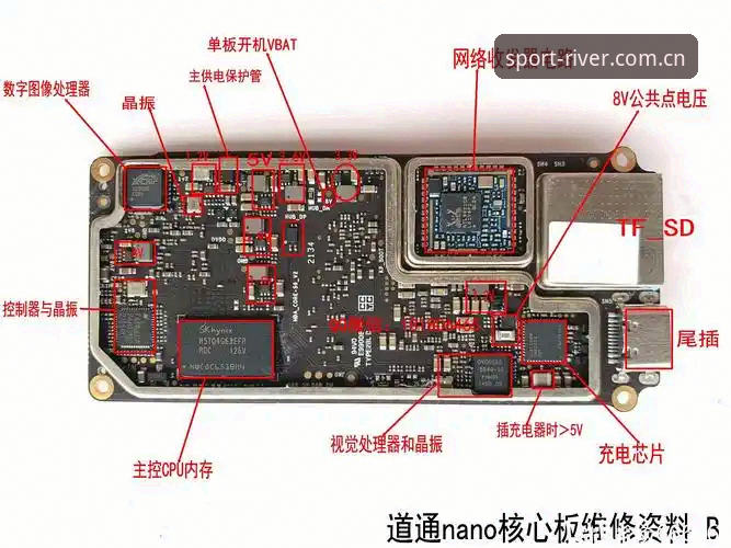 大江体育排行榜操作教程：DJSPORTS平台深度解析与实战应用